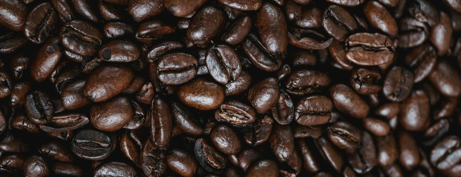 Melitta -Melitta pexels mizunokozuki 13737042